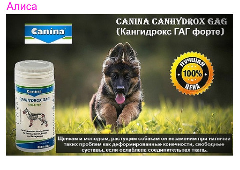 CANINA  Немецкие витамины для животных