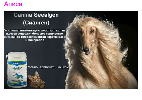 CANINA  Немецкие витамины для животных