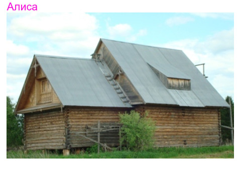 Продам дом (не дострой) в д. Щелкановка  Омской области